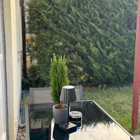 Modernes 2-zi Mit Terrasse Und Garten Appartement