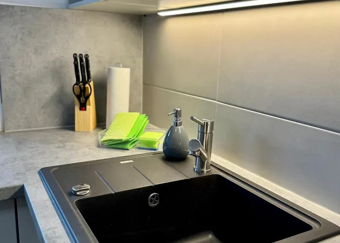 Modernes 2-zi Mit Terrasse Und Garten *