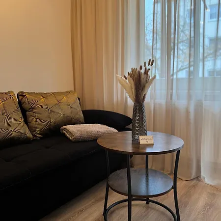 Modernes 2-zi Mit Terrasse Und Garten Dresda