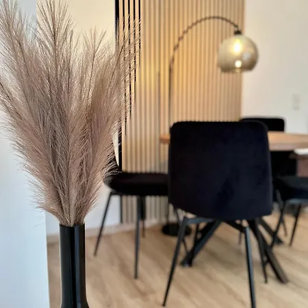 Modernes 2-zi Mit Terrasse Und Garten Appartamento Dresda